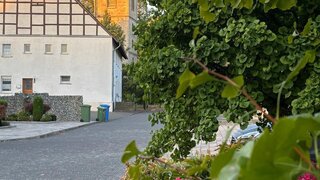 casafari-bild
