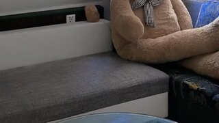casafari-bild