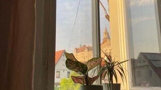 casafari-bild