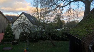 casafari-bild