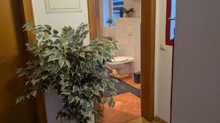 casafari-bild