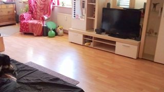 Alttag