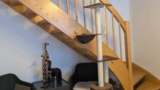 casafari-bild