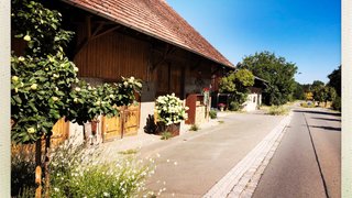 Alttag