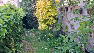 casafari-bild