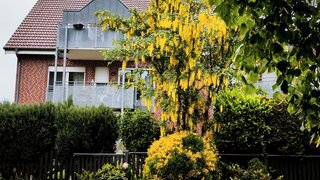 Immobilie verkauft - Thater Immobilien
