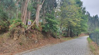 Land for sale in Oliveira de Azeméis, Portugal — €35,000