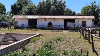 Terreno em Coimbra · 4600 m² · 245 000 €
