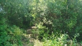 Land for sale in Sintra, Portugal — €60,000