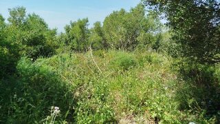 Land for sale in Sintra, Portugal — €200,000