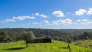 Land for sale in Santiago do Cacém, Portugal — €540,000