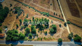 Land for sale in Palmela, Portugal — €1,250,000