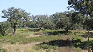 Land for sale in Santiago do Cacém, Portugal — €60,000