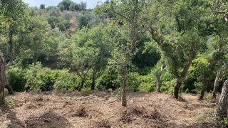 Land for sale in Santiago do Cacém, Portugal — €400,000