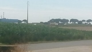 Land for sale in Palmela, Portugal — €950,000