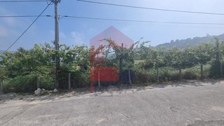 Terreno em Vila Verde