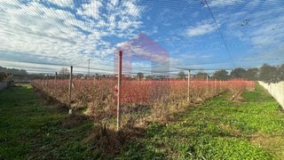 Land for sale in Vila Verde, Portugal — €298,000