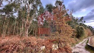 Land for sale in Vila Verde, Portugal — €60,000