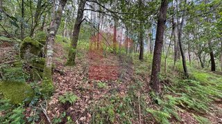 Terreno em Vila Verde