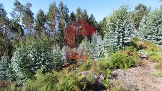 Land for sale in Vila Verde, Portugal — €120,000