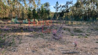 Land for sale in Águeda, Portugal — €40,000