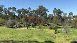 Terreno de 10 544 m² em Viseu