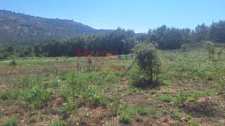 Land for sale in Mangualde, Portugal — €8,100