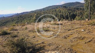 Land for sale in Celorico de Basto, Portugal — €290,000