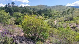 Land for sale in Odemira, Portugal — €56,500