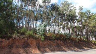 Terreno de 1279 m² em Leiria