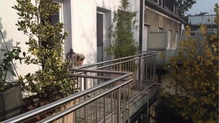casafari-bild
