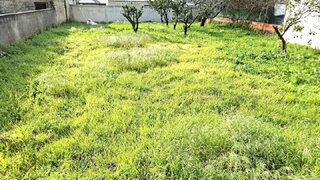 Land for sale in Vagos, Portugal — €42,500