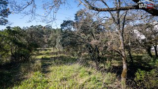 Land for sale in Ourém, Portugal — €150,000