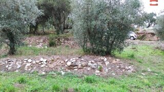 Land for sale in Ourém, Portugal — €23,500