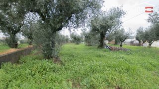 Land for sale in Ourém, Portugal — €25,000