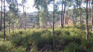 Land for sale in Ourém, Portugal — €7,000