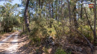 Land for sale in Batalha, Portugal — €9,000