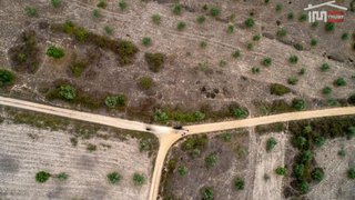 Land for sale in Abrantes, Portugal — €20,000