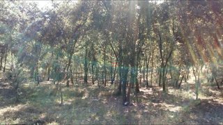 Land for sale in Ourém, Portugal — €10,500