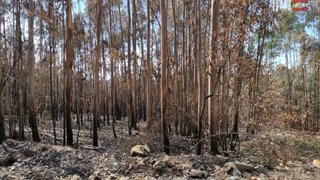 Terreno em Ourém