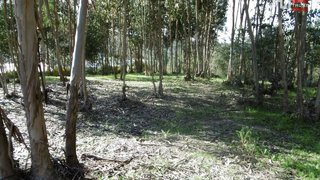 Land for sale in Ourém, Portugal — €69,000