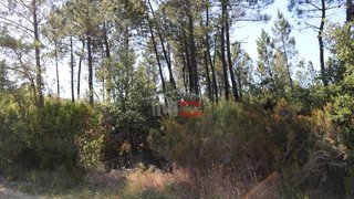 Land for sale in Tomar, Portugal — €25,000