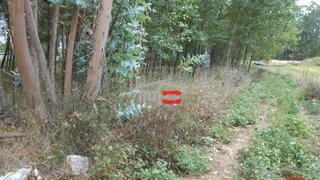 Terreno em Leiria · 3450 m² · 40 000 €