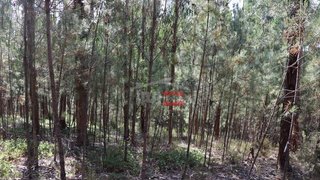Land for sale in Ourém, Portugal — €6,500