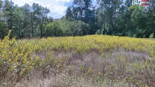 Land for sale in Ourém, Portugal — €11,200