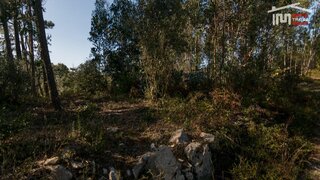 Terreno em Leiria