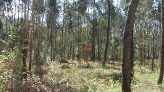 Land for sale in Batalha, Portugal — €29,000