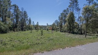 Land for sale in Alvaiázere, Portugal — €10,000