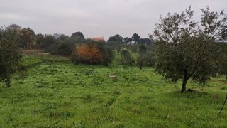 Land for sale in Ourém, Portugal — €40,000