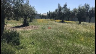 Land for sale in Ourém, Portugal — €15,000